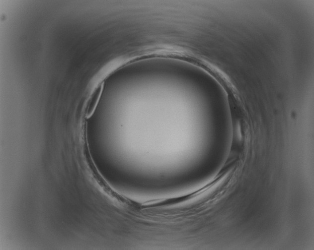 X0000081311375200701111257