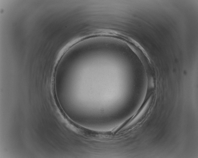 X0000081311379200701111257