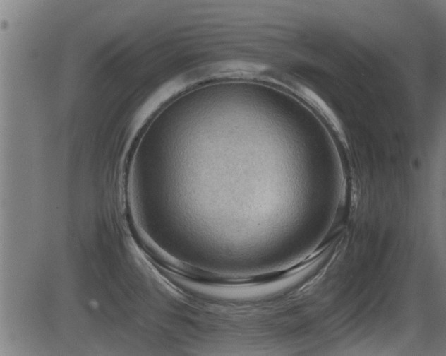 X0000081311384200701111257