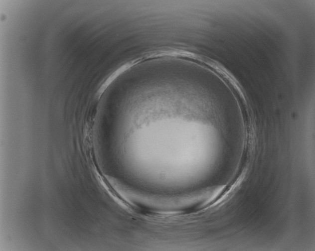 X0000081311385200701111257