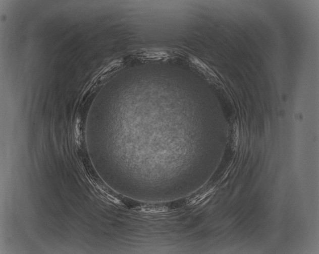 X0000081311394200701111256