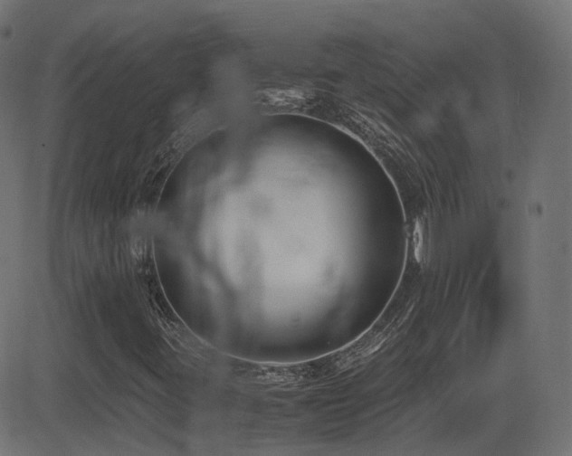 X0000081311395200701111256