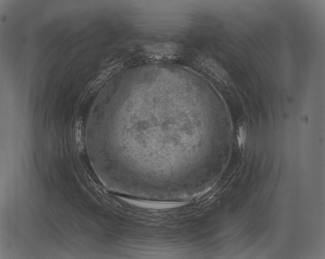 X0000081311396200701111256