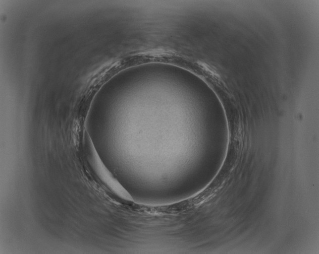 X0000081311398200701111256