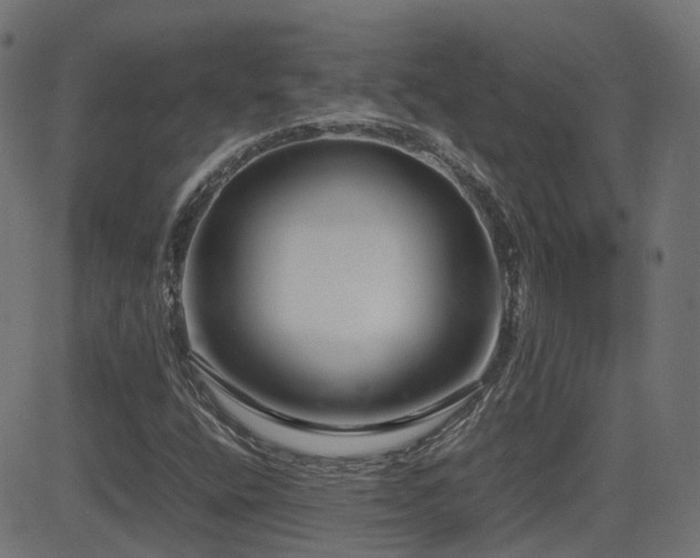 X0000081311400200701111256