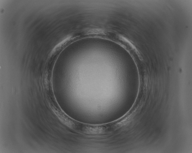 X0000081311403200701111256