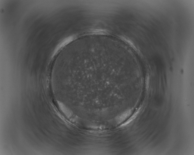 X0000081311405200701111256