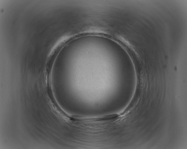 X0000081311408200701111256
