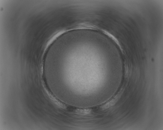 X0000081311415200701111256