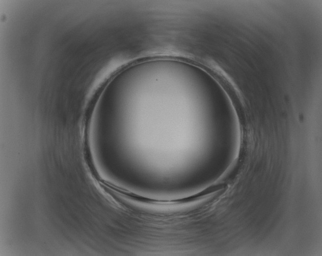 X0000081311416200701111256