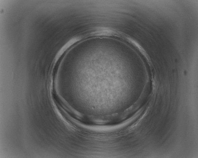 X0000081311418200701111256