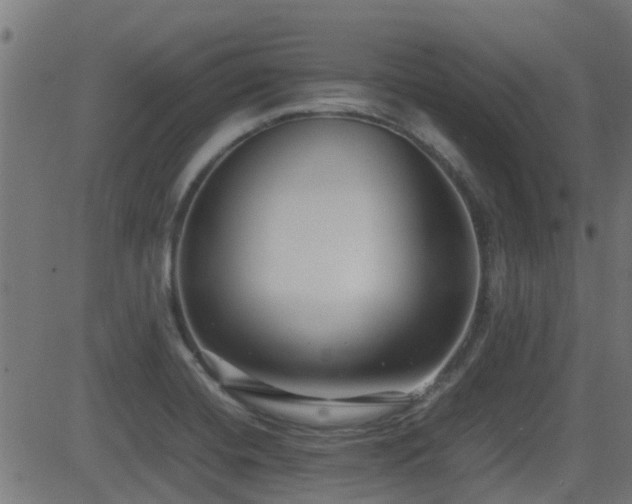 X0000081311420200701111257