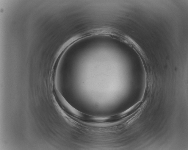 X0000081311434200701111257