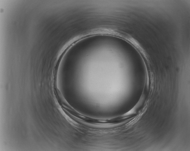 X0000081311438200701111257