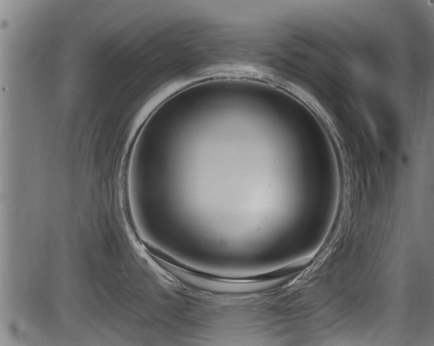 X0000081311440200701111257