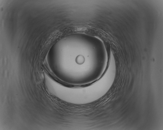 X0000081311441200701111256