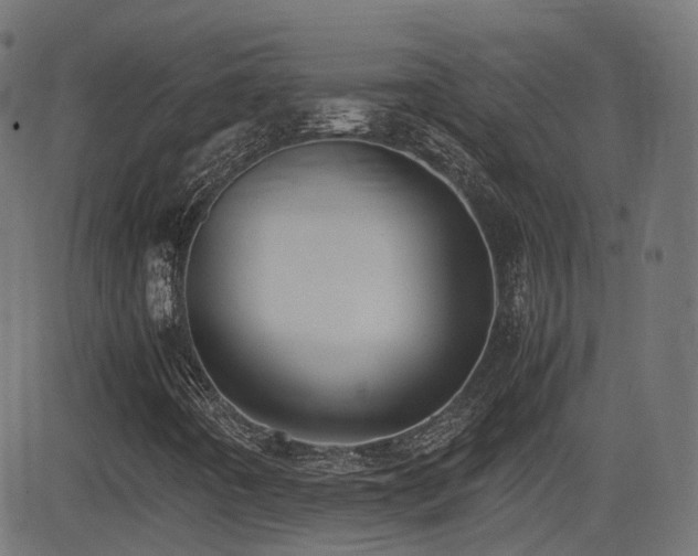 X0000081311442200701111256