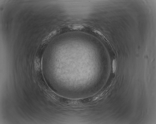 X0000081311443200701111256