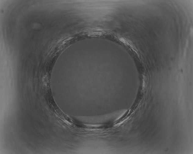 X0000081311445200701111256
