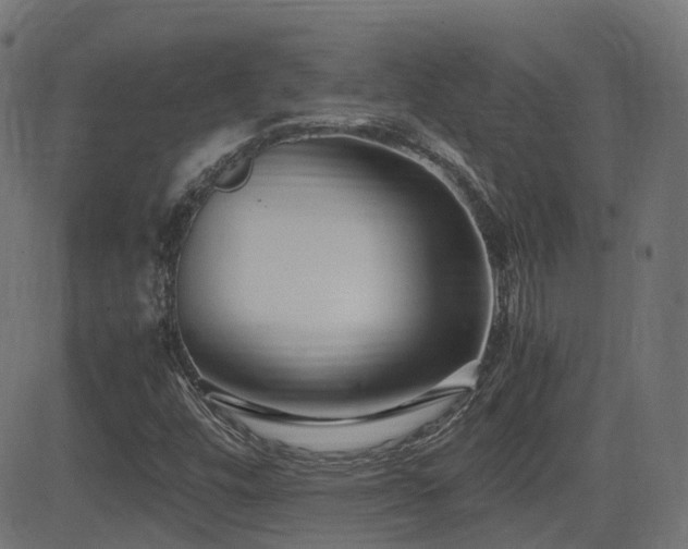 X0000081311448200701111256