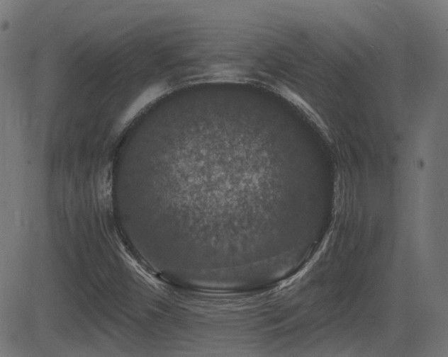 X0000081311450200701111256