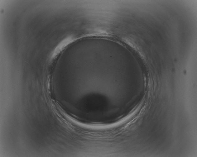 X0000081311455200701111256