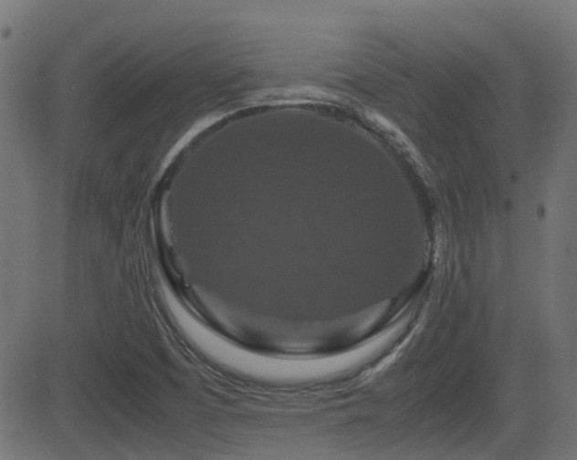 X0000081311457200701111256