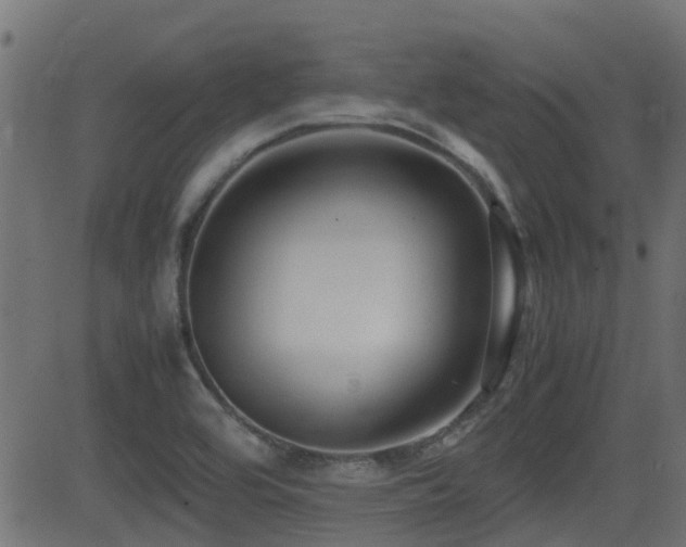 X0000081311464200701111256