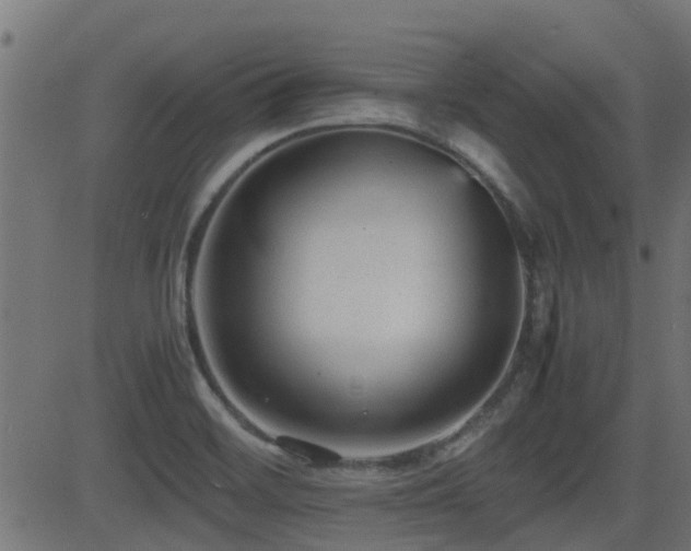X0000081311468200701111256