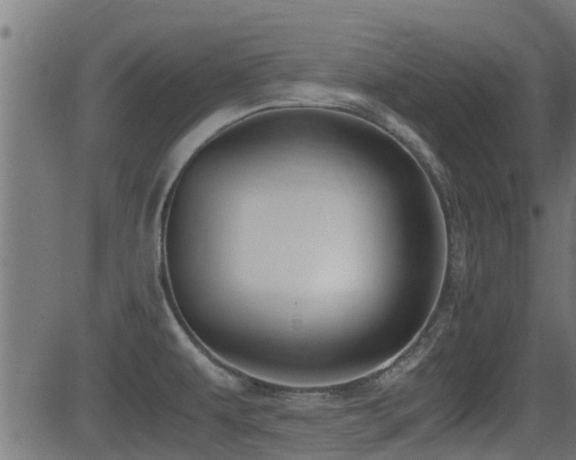 X0000081311479200701111255