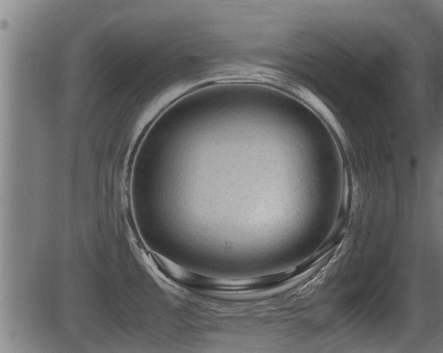 X0000081311485200701111255