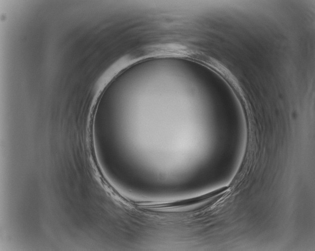 X0000081311488200701111255
