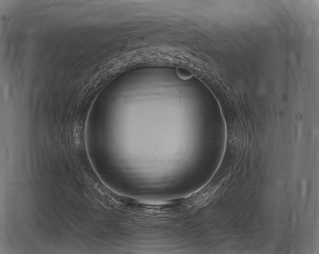 X0000081311490200701111255