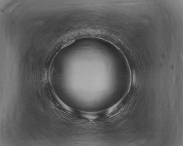 X0000081311492200701111255