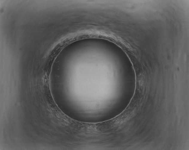 X0000081311495200701111255