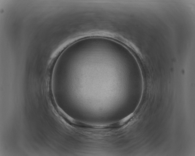 X0000081311504200701111255