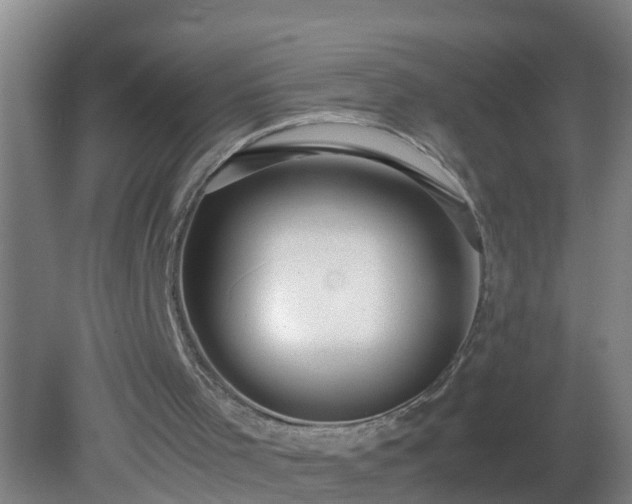 X0000081310001200701181914