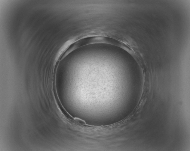 X0000081310003200701181914