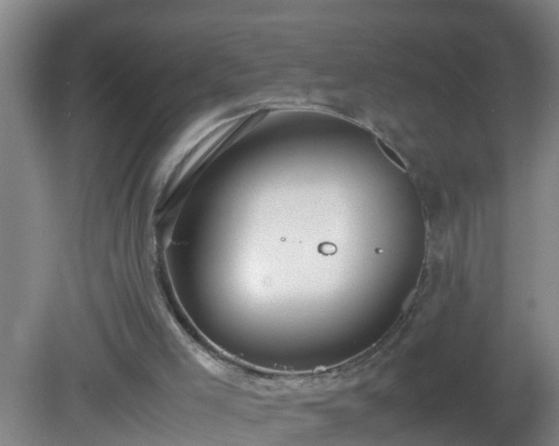 X0000081310005200701181914