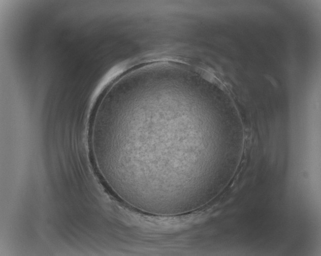 X0000081310006200701181914