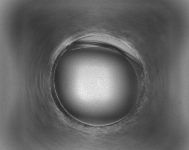 X0000081310007200701181914