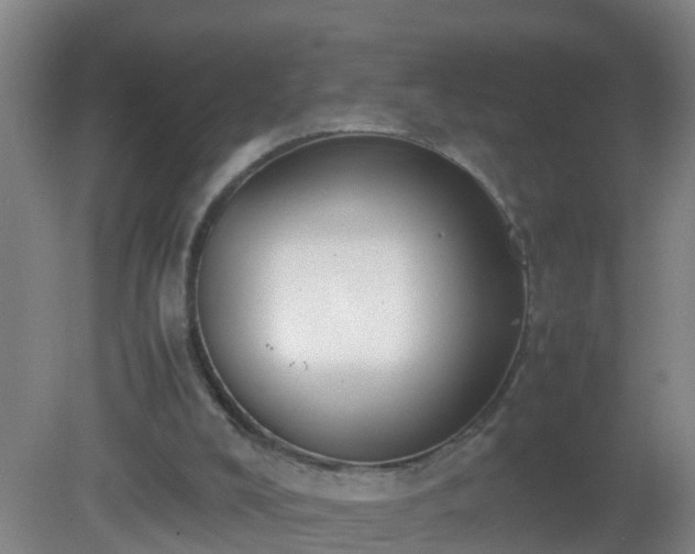 X0000081310008200701181914