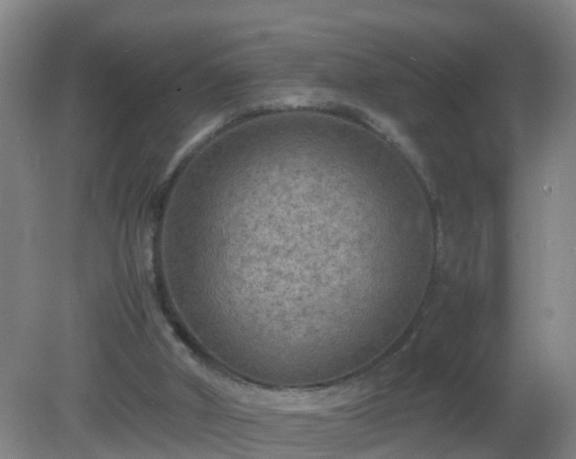 X0000081310010200701181914