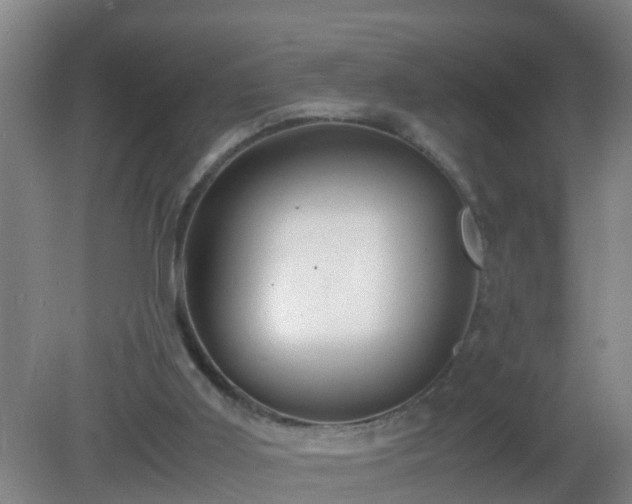 X0000081310011200701181914