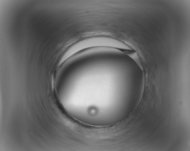 X0000081310013200701181914