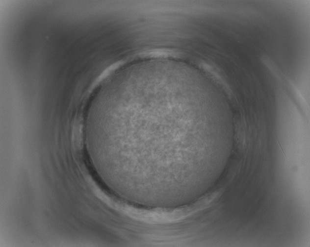 X0000081310016200701181914