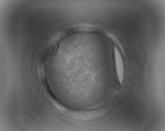 X0000081310017200701181914