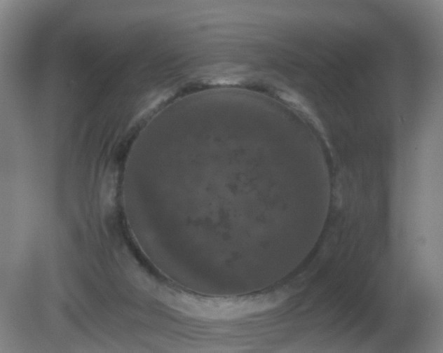 X0000081310018200701181914