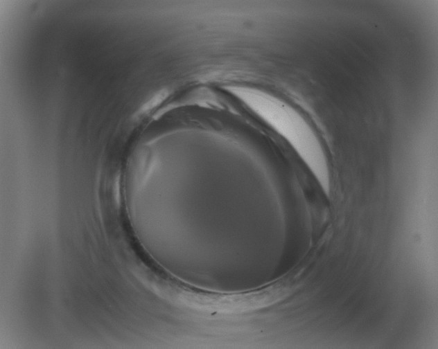 X0000081310019200701181914