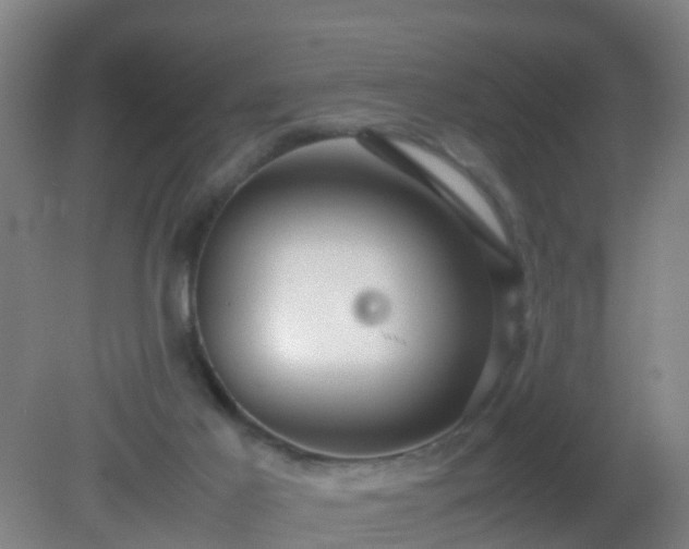 X0000081310021200701181914